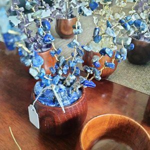 Lapis Lazuli Crystal Healing Plants